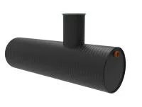 СЕПТИК KANN BIO 2,5