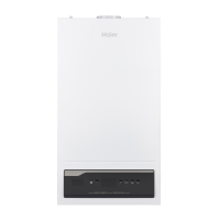 Газовый котёл  Haier ProLine S 2.28 ТiW